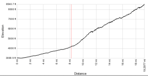 hopkins-full-profile