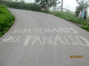 Guardianes