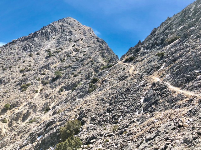 5843577E-8AD7-4EB5-94C4-10EA5E88C641