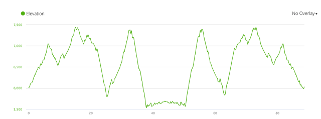 GilaMonsteretteProfile