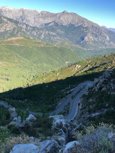 R6RCazyOSj2bvs0LxYL3HA