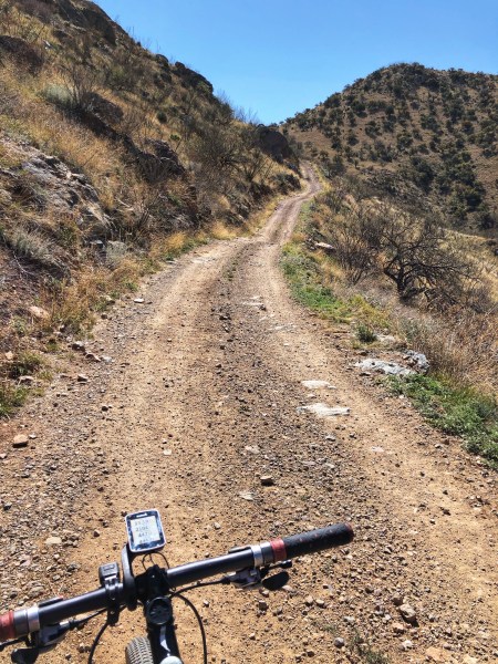 ACB7C35F-017A-4412-94F7-41475B3F9CC4_1_201_a