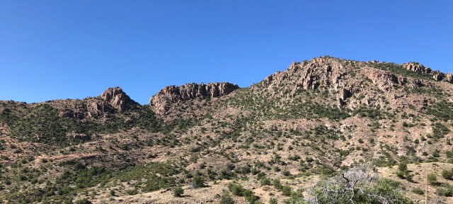 4223CDD9-752D-4FF1-92BB-5C5BD6853404_1_201_a