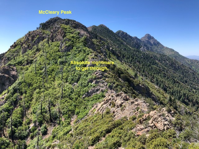 7A36664C-3995-46B6-9846-F7860D92896C_1_201_a