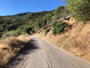 00vqdtyVSo2PUs8LSTliVg