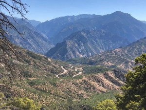 0cD17meYSxiBglhJq7ygRg