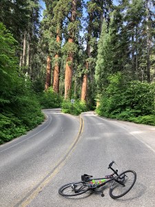 lI3IpL4KTESTnCNW+iRnIg