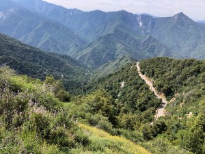 YemA6B7IRParg3a5WNzotw